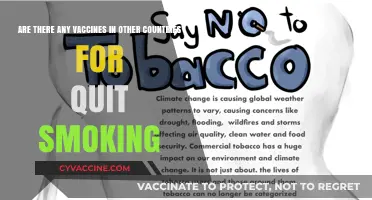 Foreign Smoking Cessation Vaccines: Do They Exist?