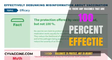 Vaccines: Can We Ever Achieve 100% Effectiveness?