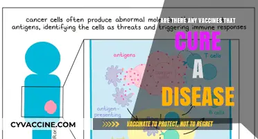 Vaccines: Curing Diseases or Preventing Them?