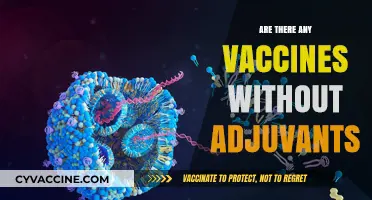 Exploring Adjuvant-Free Vaccines: Are There Any Available Options?