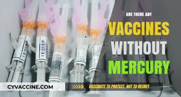 Mercury-Free Vaccines: Separating Fact from Fiction in Immunizations