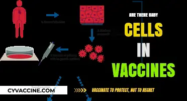 Debunking Myths: Are There Baby Cells in Vaccines?