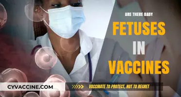 Debunking the Myth: Baby Fetuses in Vaccines – Facts Revealed