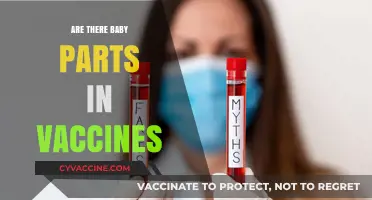 Debunking Myths: The Truth About Baby Parts in Vaccines