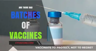 Are There Bad Batches of Vaccines? Unraveling the Truth and Safety