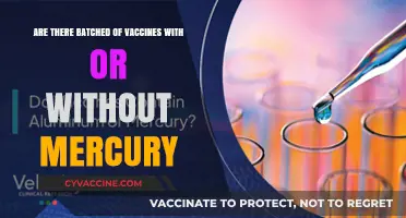 Vaccine Mercury Mystery: What's in the Batch?