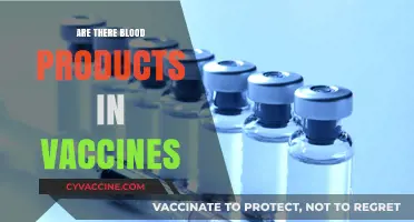 Do Vaccines Contain Blood Products? Separating Fact from Fiction