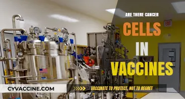 Cancer Cells in Vaccines: Separating Fact from Fiction and Fear