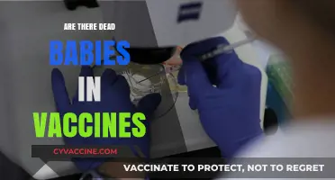 Debunking Myths: The Truth About Vaccines and Fetal Tissue Claims
