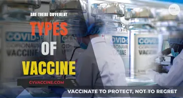 Exploring the Diverse World of Vaccines: Types and Purposes