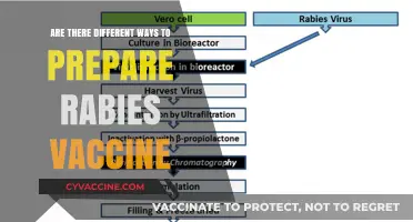 Rabies Vaccine Preparation: Exploring Alternative Methods