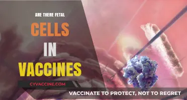 Fetal Cells in Vaccines: Separating Fact from Fiction