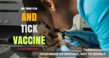 Do Flea and Tick Vaccines Exist? Separating Fact from Fiction