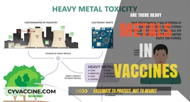 Are Heavy Metals in Vaccines a Health Concern?
