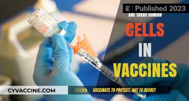 Human Cells in Vaccines: Fact-Checking a Common Misconception