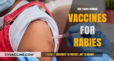Human Rabies Vaccines: Availability, Effectiveness, and Prevention Explained