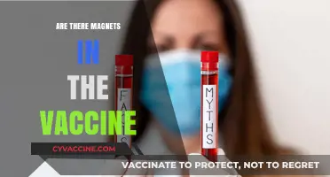 Debunking Myths: Are Magnets in COVID-19 Vaccines a Reality?