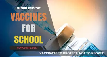 Mandatory Vaccines for School: What Parents Need to Know