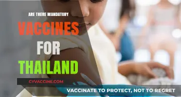 Mandatory Vaccines for Thailand: What Travelers Need to Know