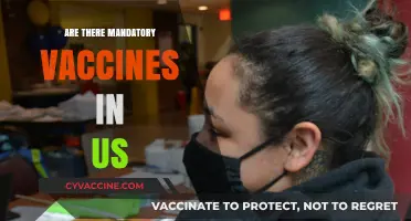 Are Vaccines Mandatory in the US? Exploring Legal Requirements and Exemptions