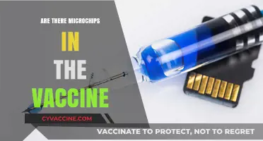 Microchips in Vaccines: Separating Fact from Fiction and Conspiracy