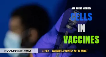 Monkey Cells in Vaccines: Separating Fact from Fiction