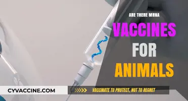 Exploring mRNA Vaccines: Are They Available for Animals?