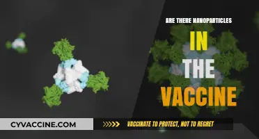 Nanoparticles in Vaccines: Fact vs. Fiction Explained