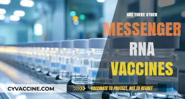 Exploring Beyond COVID-19: The Rise of Other mRNA Vaccines