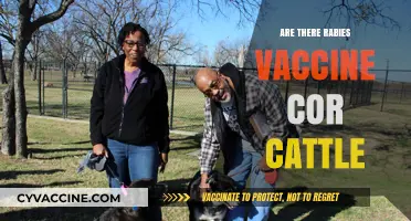 Rabies Vaccine for Cattle: Availability, Benefits, and Importance Explained