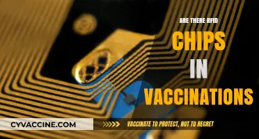 RFID Chips in Vaccinations: Separating Fact from Fiction and Fear