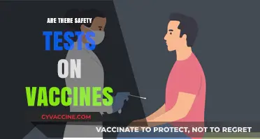 Vaccine Safety: Rigorous Testing and Protocols Explained for Public Trust