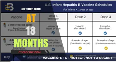 18-Month Vaccination Schedule: What Shots Does Your Toddler Need?