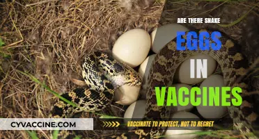 Debunking Myths: Are Snake Eggs Hidden in Vaccines?
