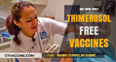 Thimerosal-Free Vaccines: Fact or Fiction? Exploring the Truth