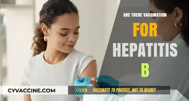 Hepatitis B Vaccination: Availability, Effectiveness, and Importance Explained