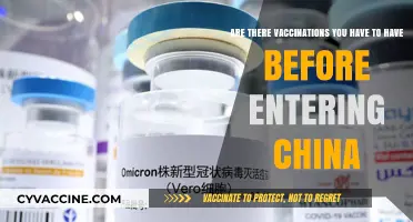 Vaccinations: Essential for Entry into China