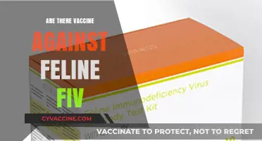 Feline FIV Vaccines: Are They Available and Effective for Cats?