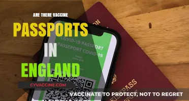 Do Vaccine Passports Exist in England? A Comprehensive Guide