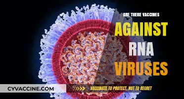 RNA Viruses and Vaccines: Current Developments and Future Prospects