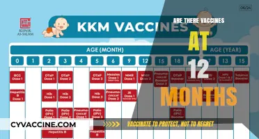 Vaccines at 12 Months: Essential Shots for Your Baby's Health