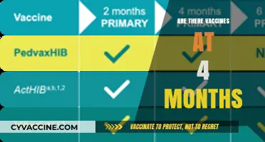 Vaccines at Four Months: Essential Immunizations for Your Baby's Health