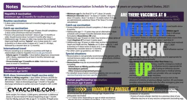 Vaccines and the 9-Month Check-Up: What to Expect