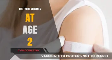 Vaccines for Toddlers: Essential Immunizations at Age 2 Explained