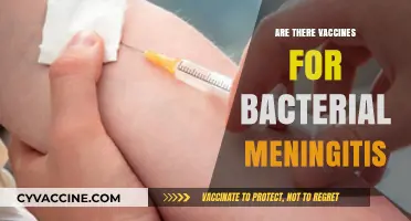 Vaccines for Bacterial Meningitis: Prevention, Protection, and Availability