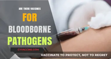 Vaccines for Bloodborne Pathogens: What You Need to Know