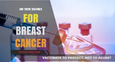 Exploring Breast Cancer Vaccines: Current Research and Future Possibilities