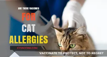 Can Vaccines Help Cat Allergy Sufferers Find Relief?