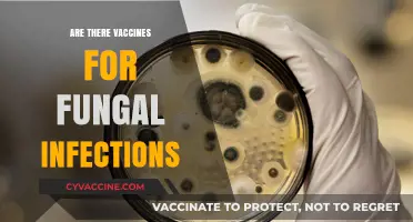 Exploring Fungal Infection Vaccines: Current Research and Future Possibilities