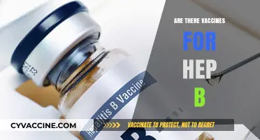 Hepatitis B Vaccines: Availability, Effectiveness, and Importance Explained